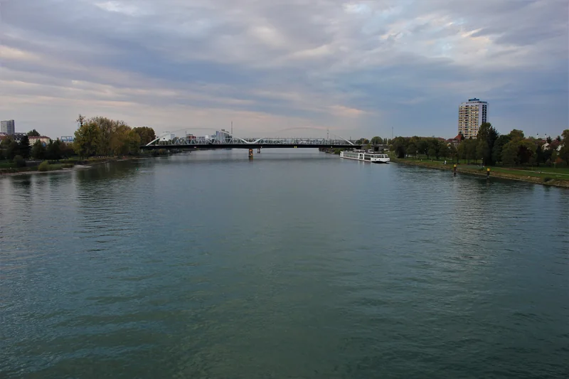 Le Rhin entre Strasbourg et Kehl vu depuis la passerelle des Deux Rives, avec un pont au loin et des berges boisées.