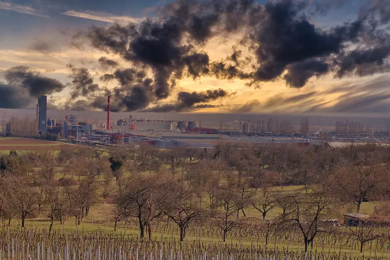 L'usine Kronenbourg à Obernai, au pied des coteaux, sous un ciel chargé, en 2021.